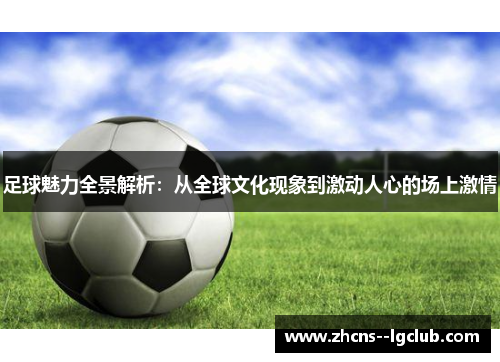 足球魅力全景解析：从全球文化现象到激动人心的场上激情