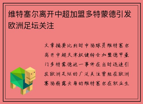 维特塞尔离开中超加盟多特蒙德引发欧洲足坛关注