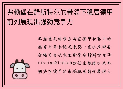 弗赖堡在舒斯特尔的带领下稳居德甲前列展现出强劲竞争力